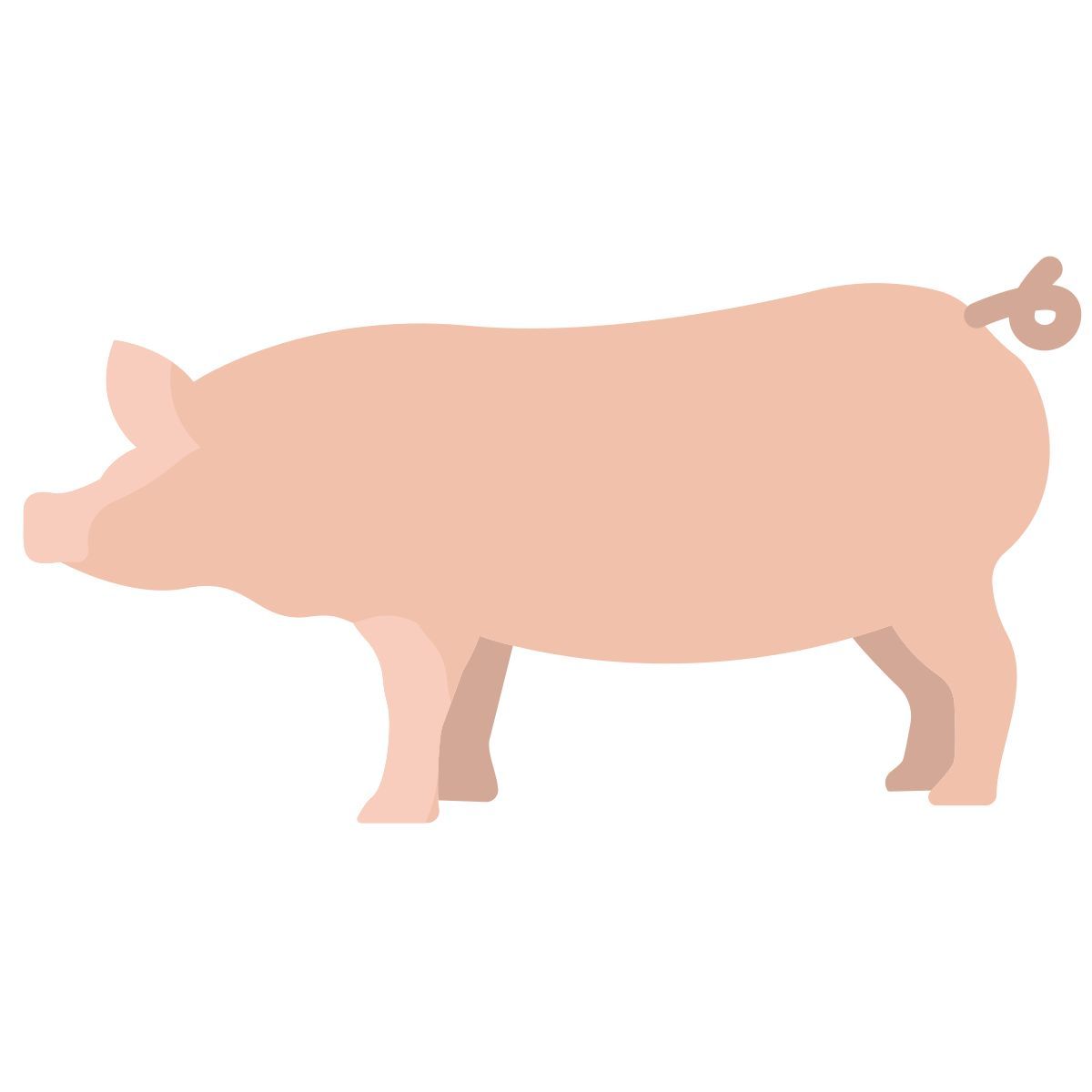 pig icon