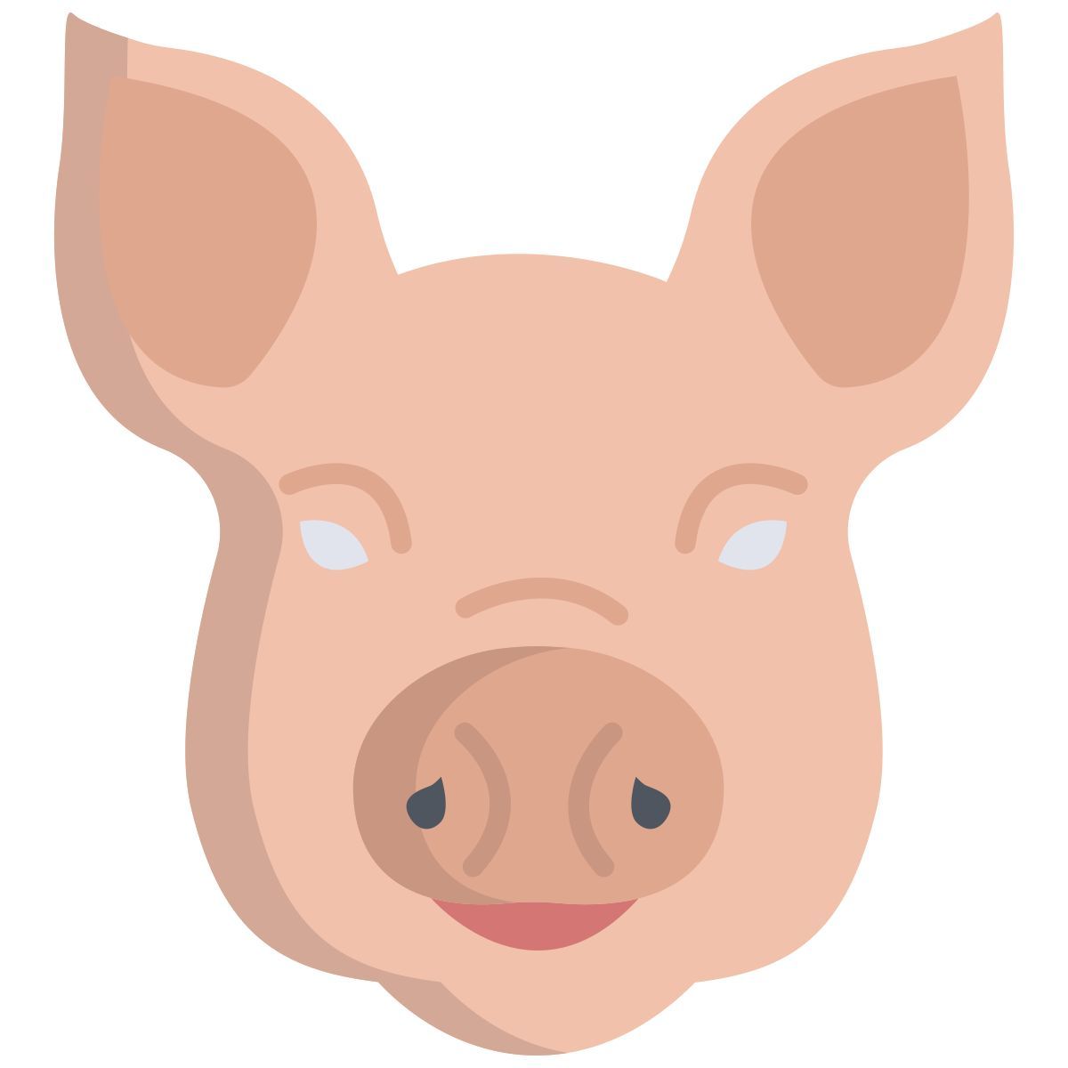 pig icon