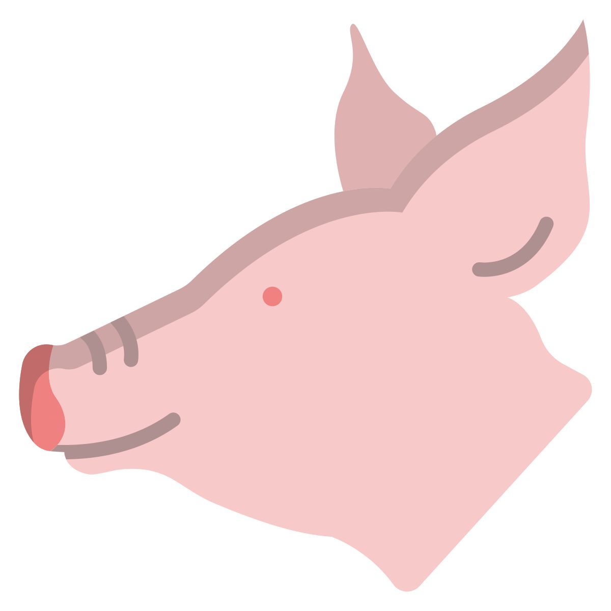 pig icon