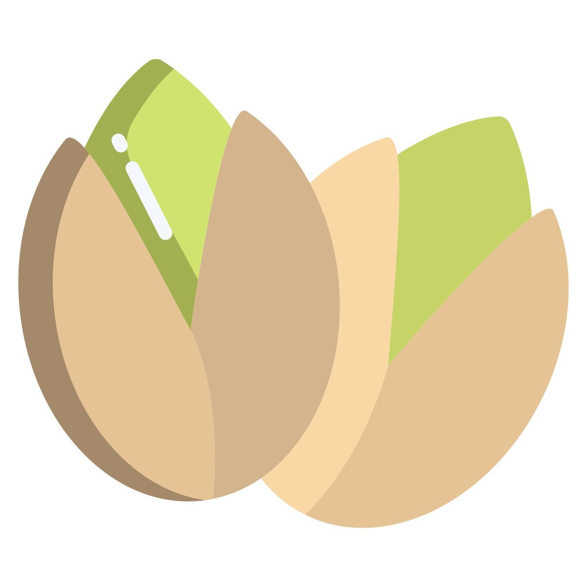 pistachio icon