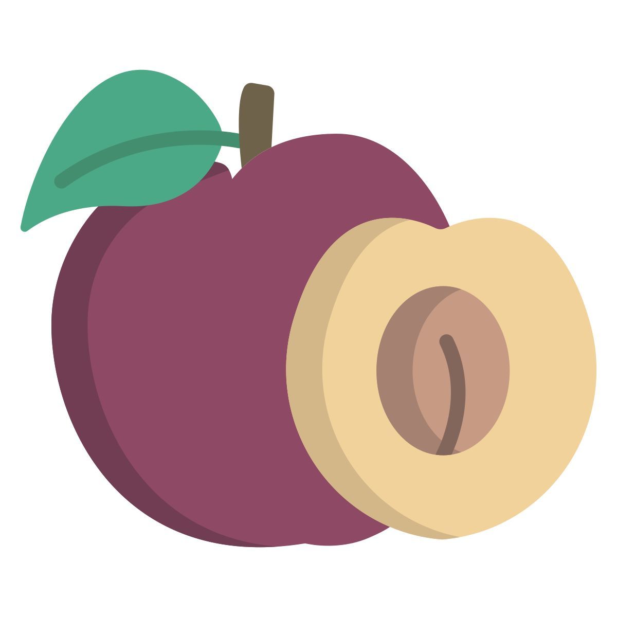 plum icon
