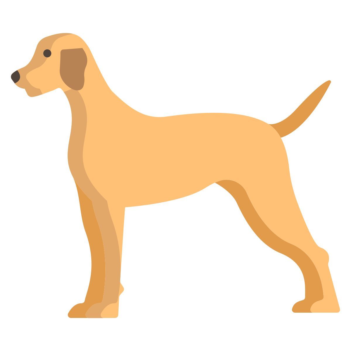 dog icon