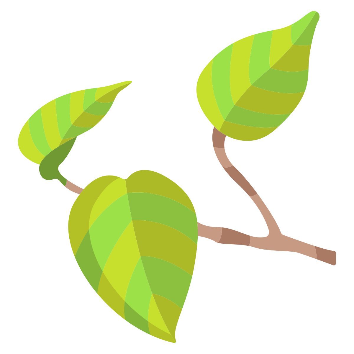 pothos icon