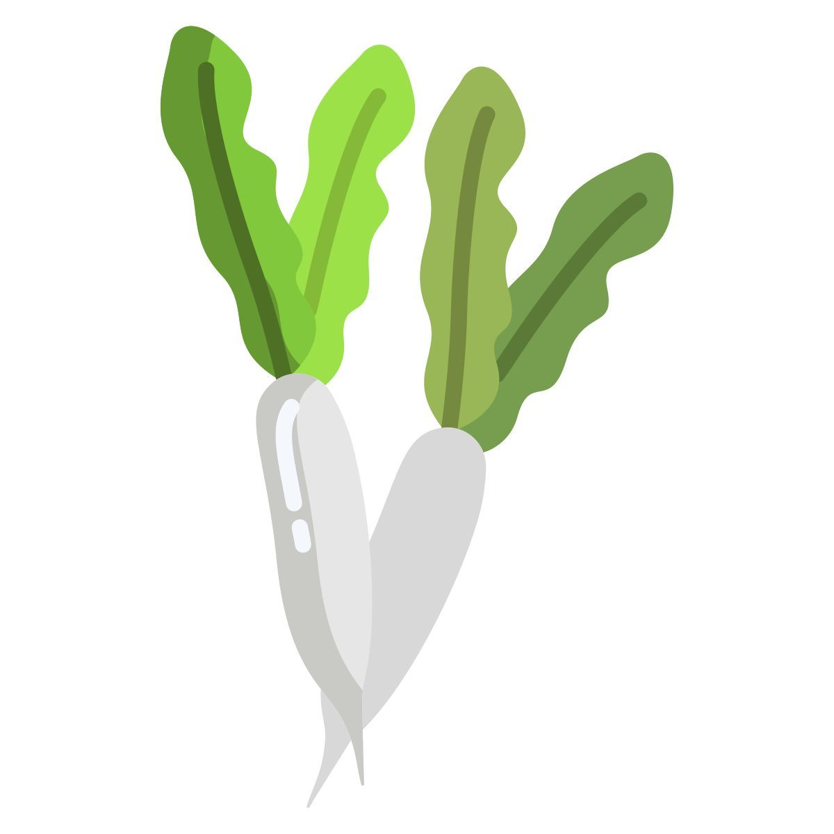 radish icon