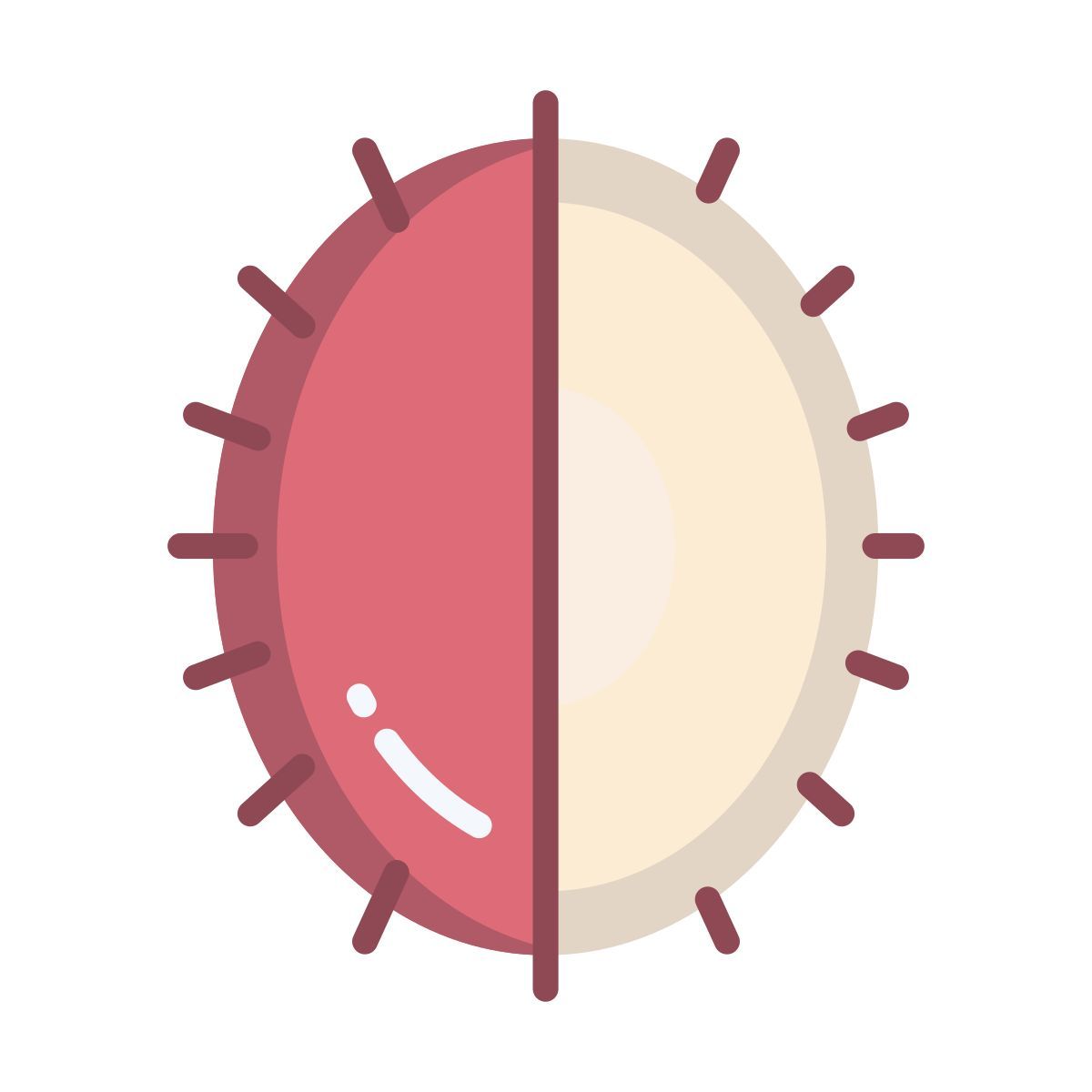 Ramboutan icon