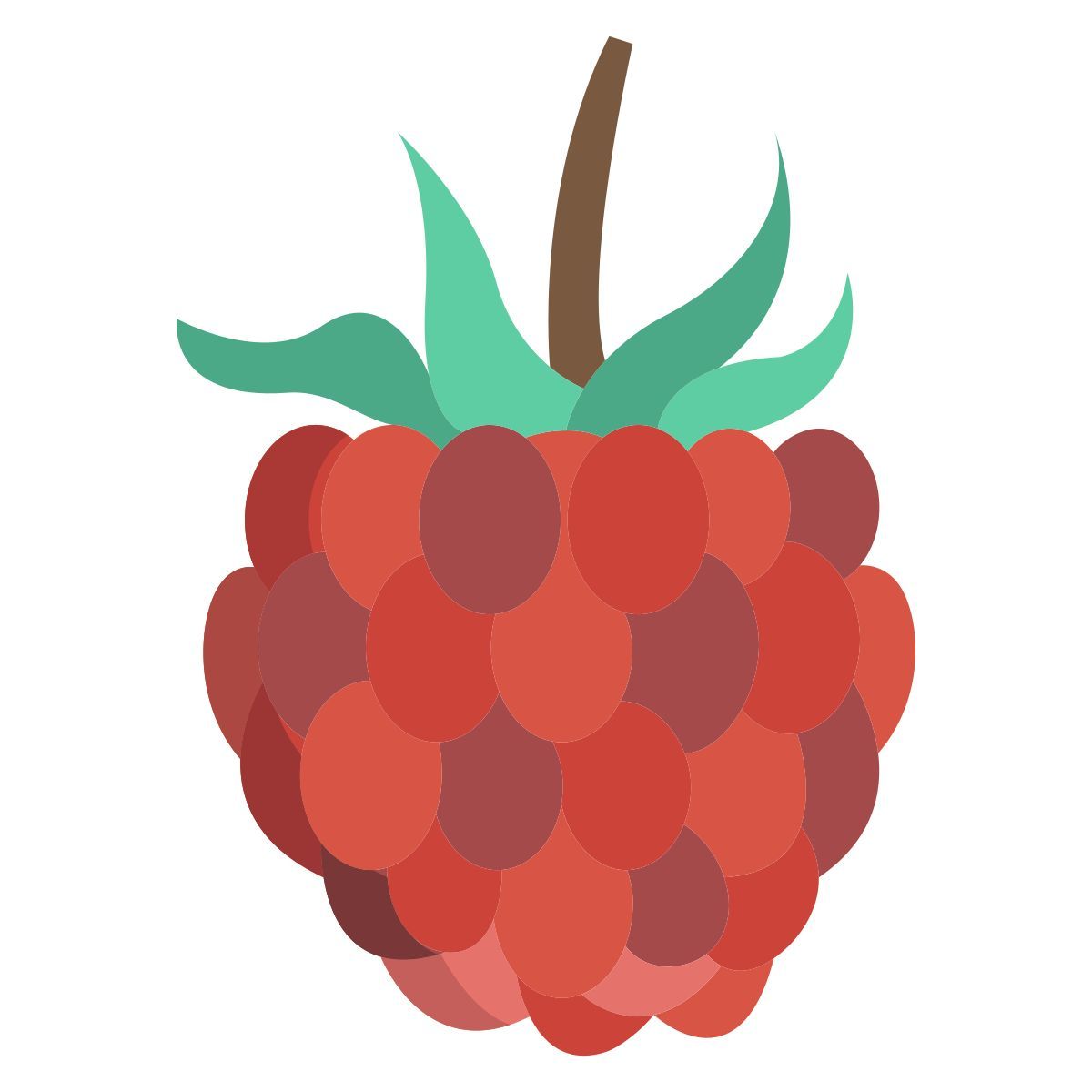 raspberry icon