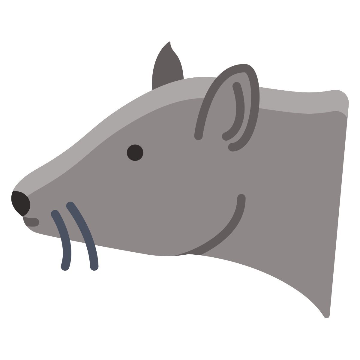 rat icon