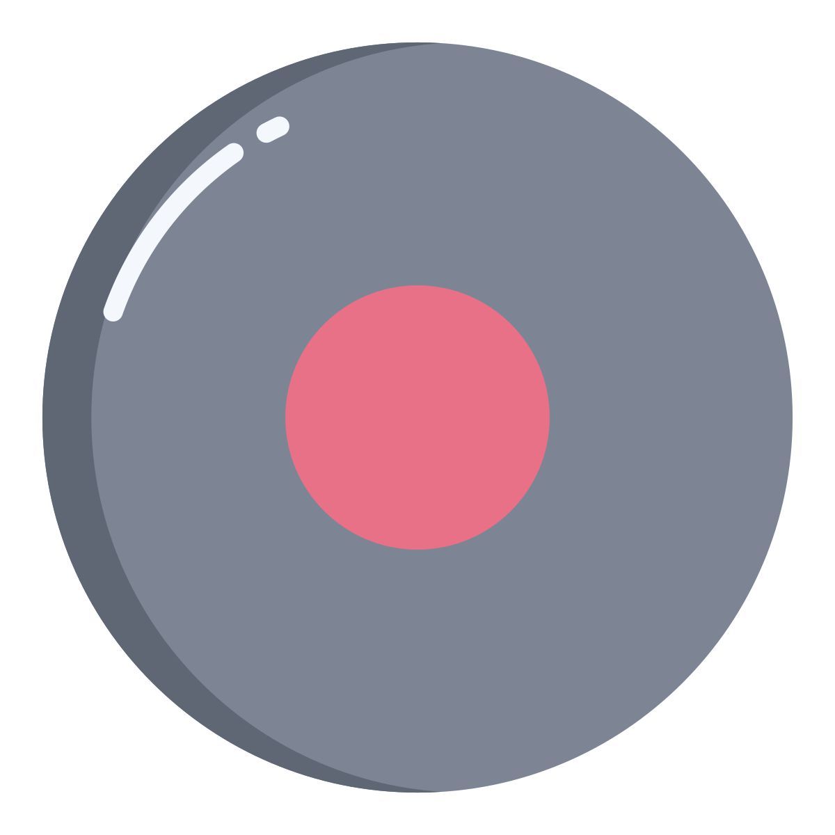 record icon