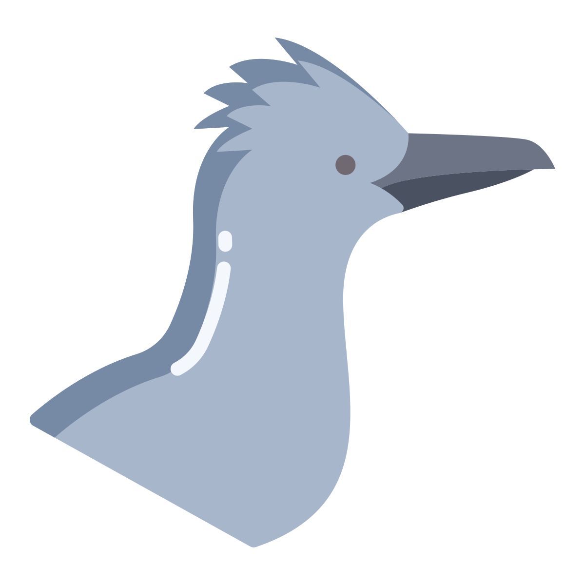 roadrunner icon