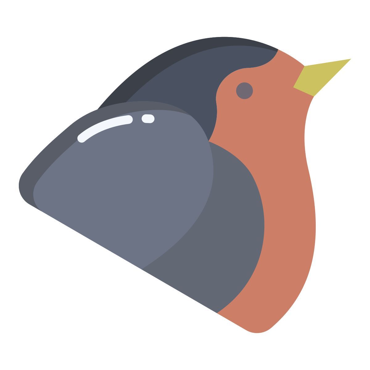 robin icon