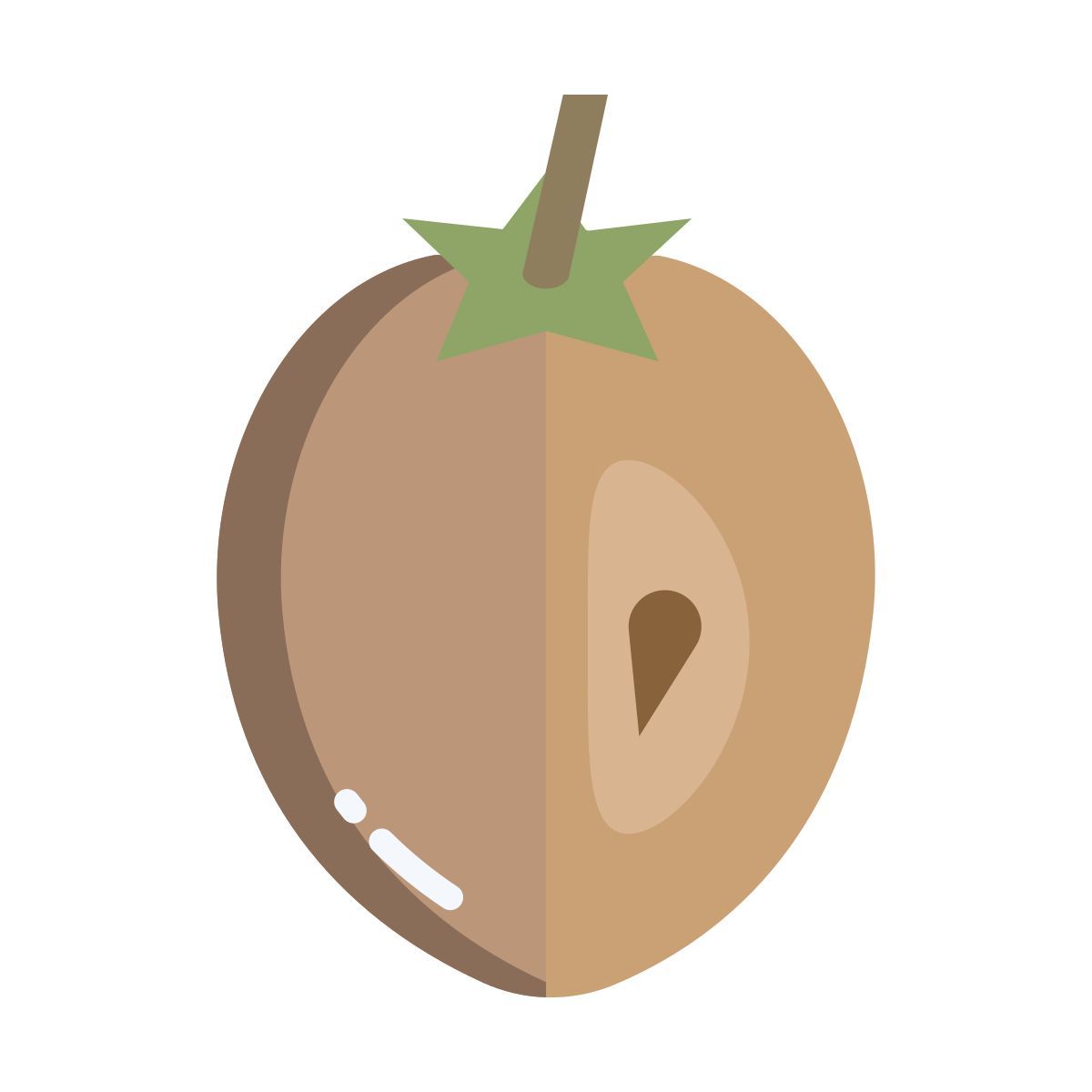 sapodilla icon