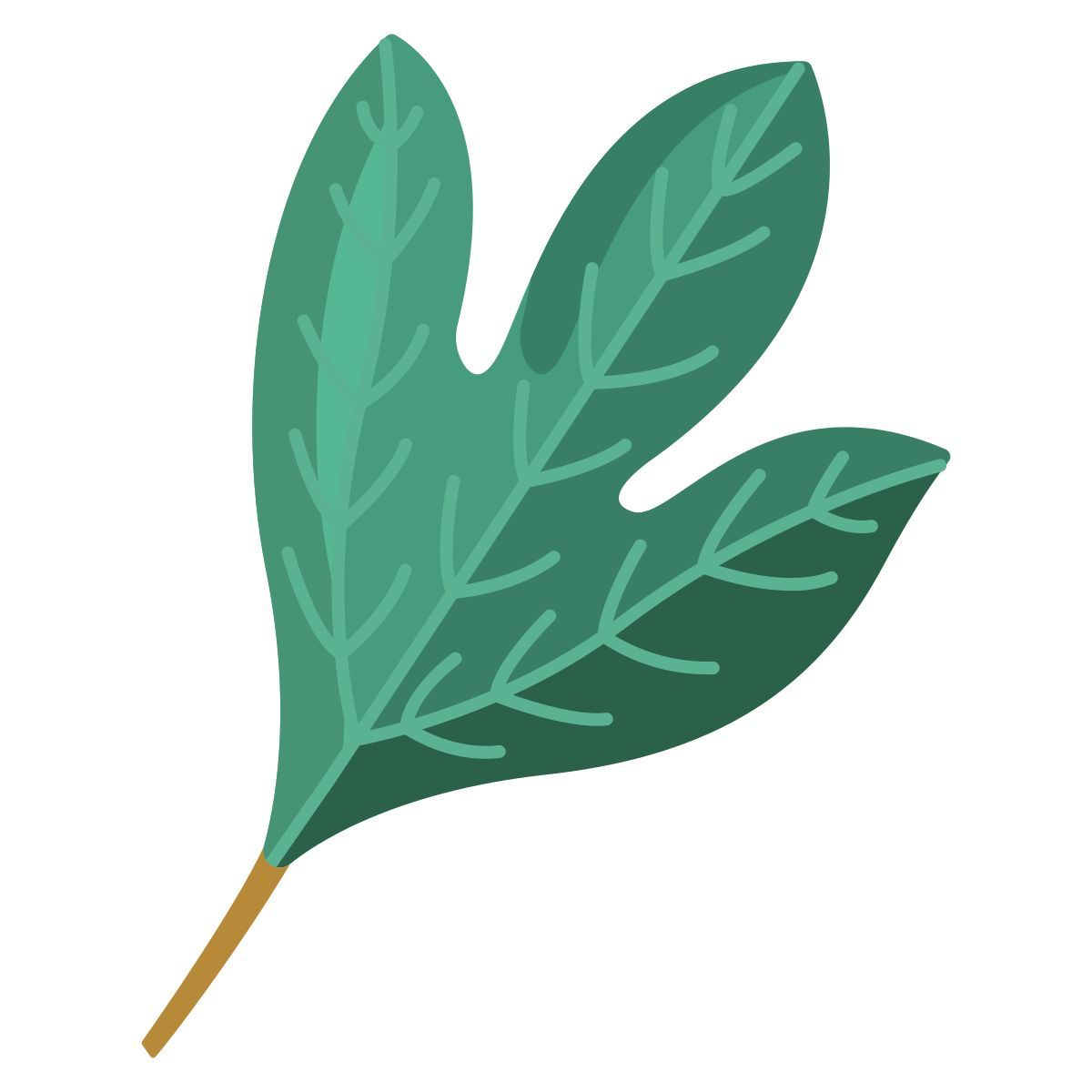 sassafras icon