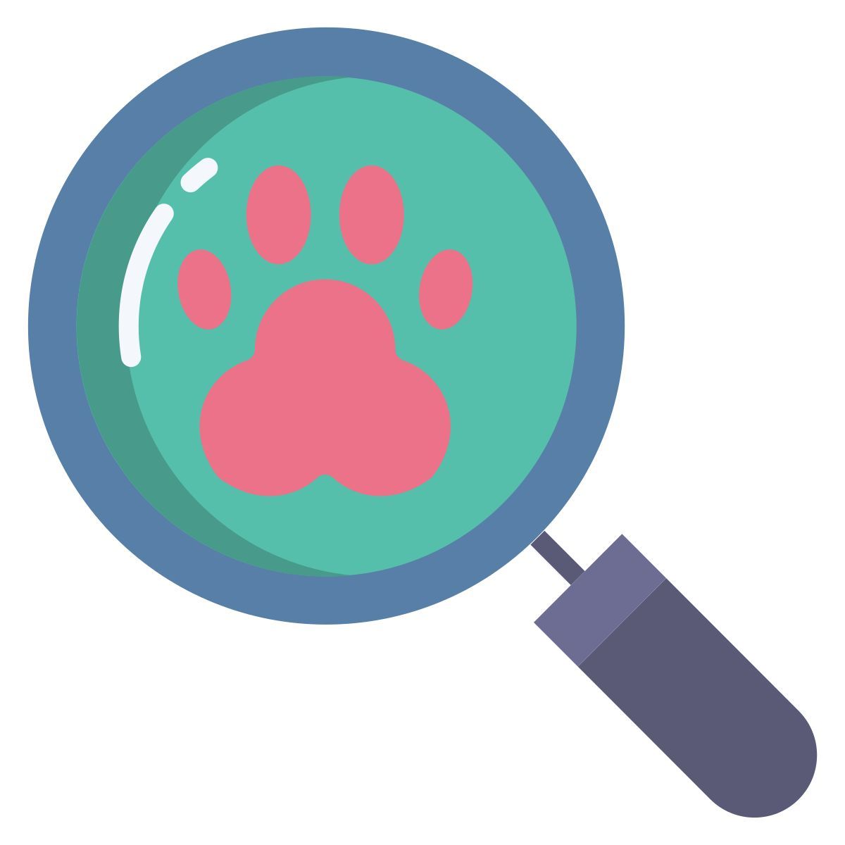 search icon