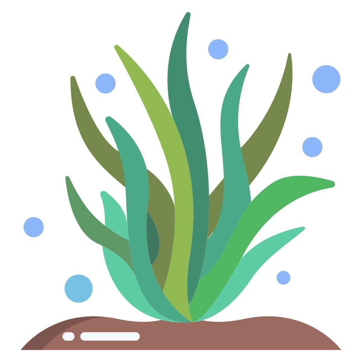 seaweed icon