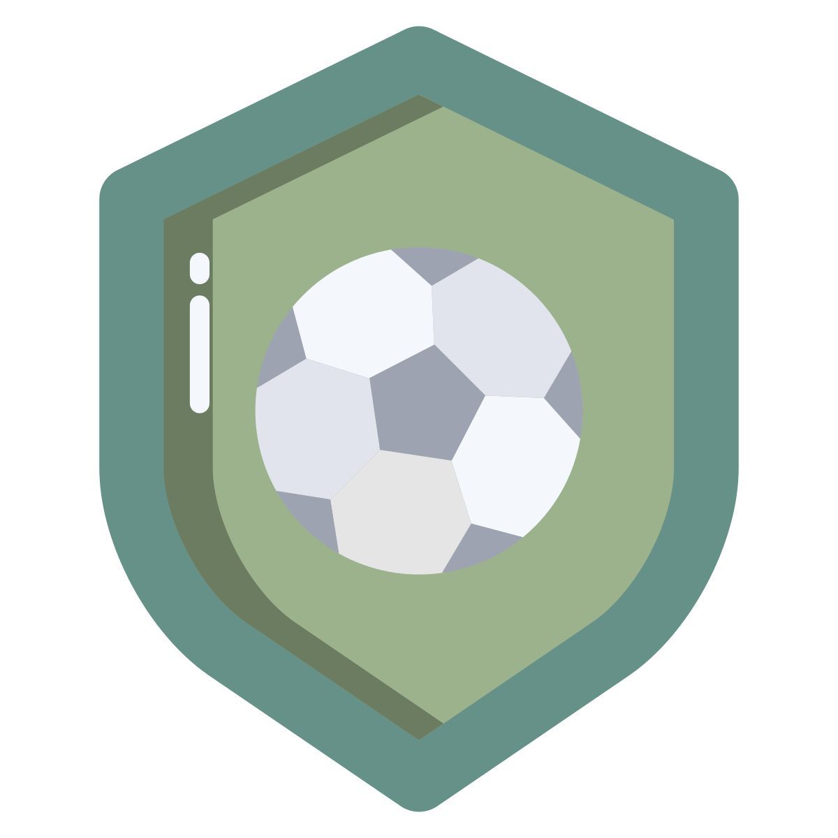 shield icon