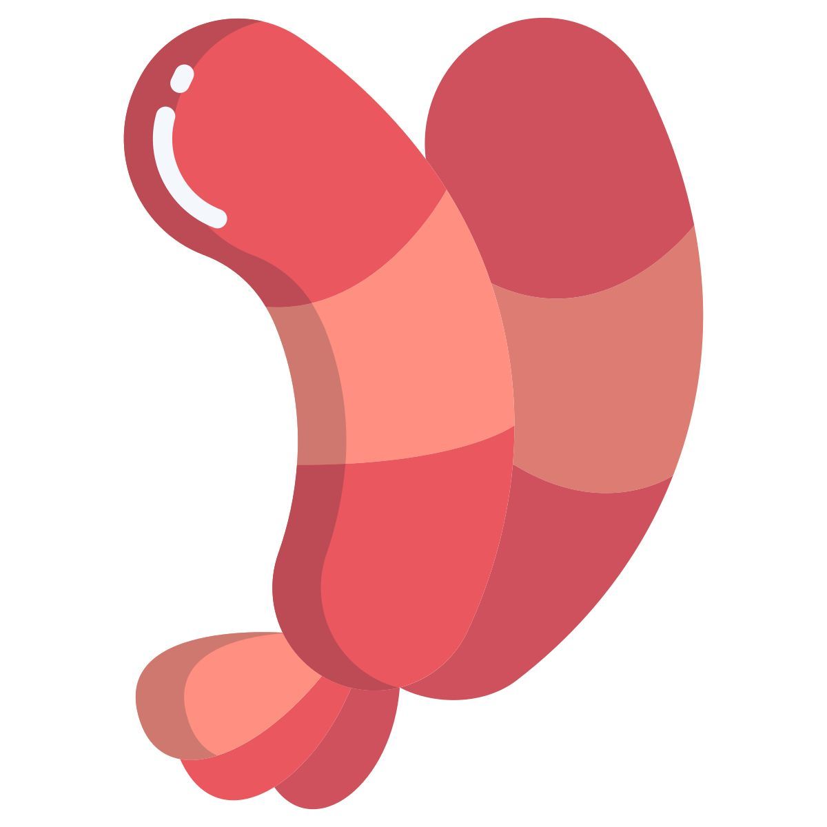 shrimp icon
