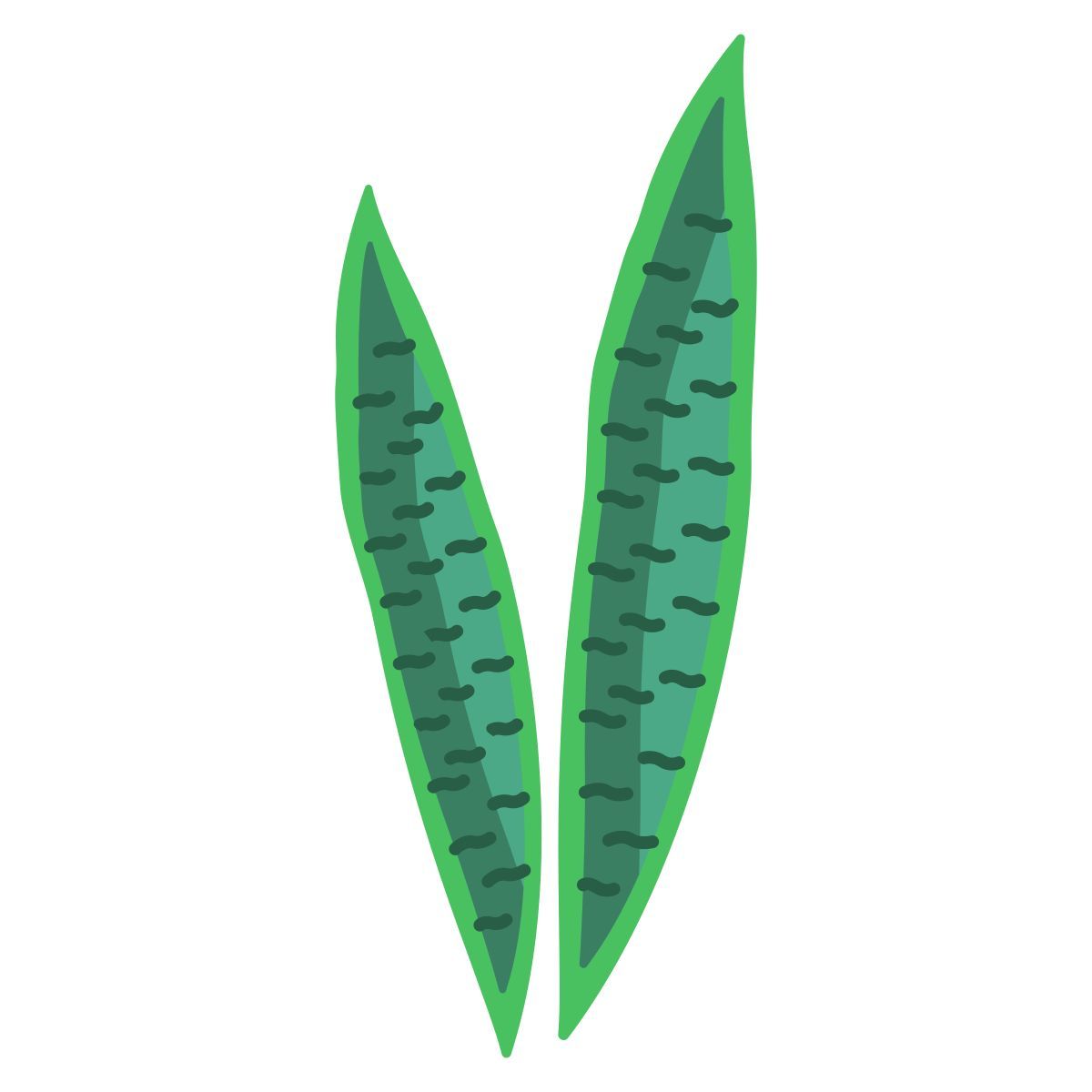 snake plant icon