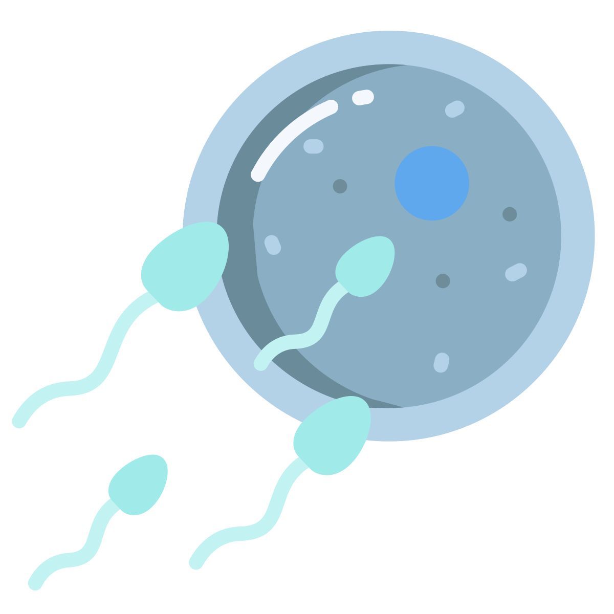 sperm icon