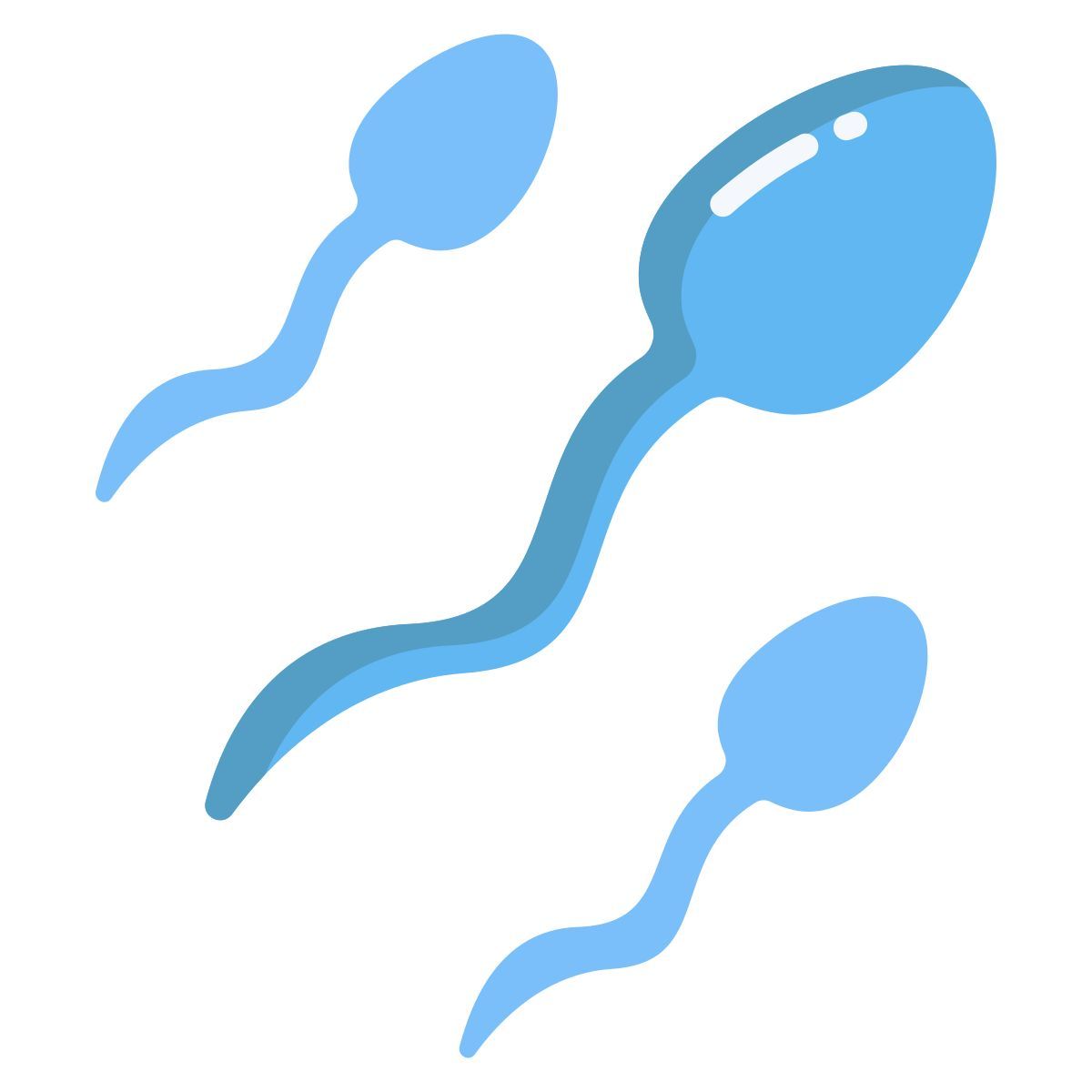 sperms icon