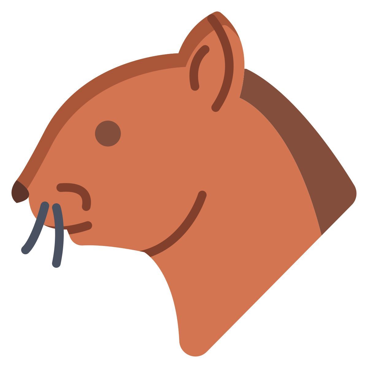 squirrel icon