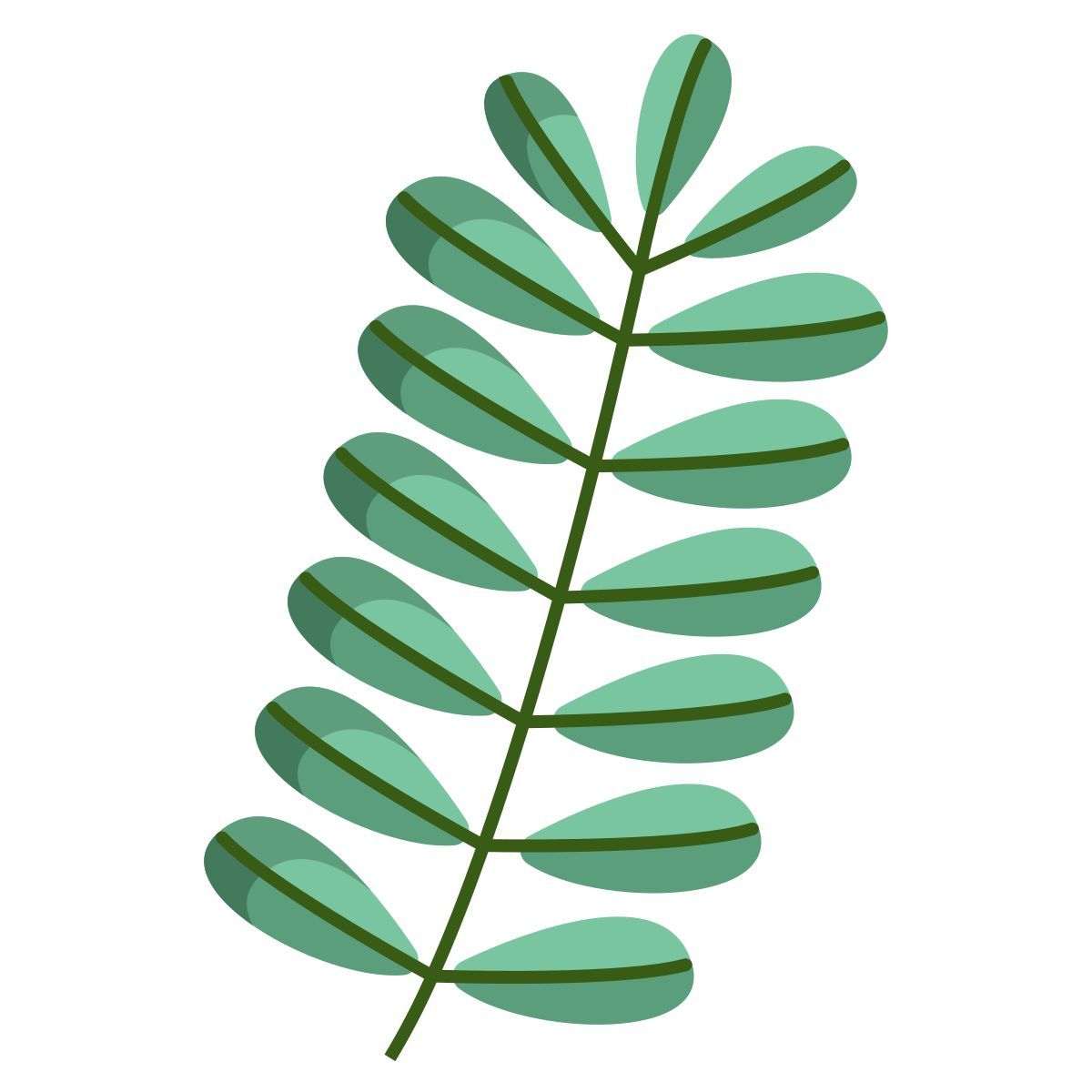 tamarinde icon