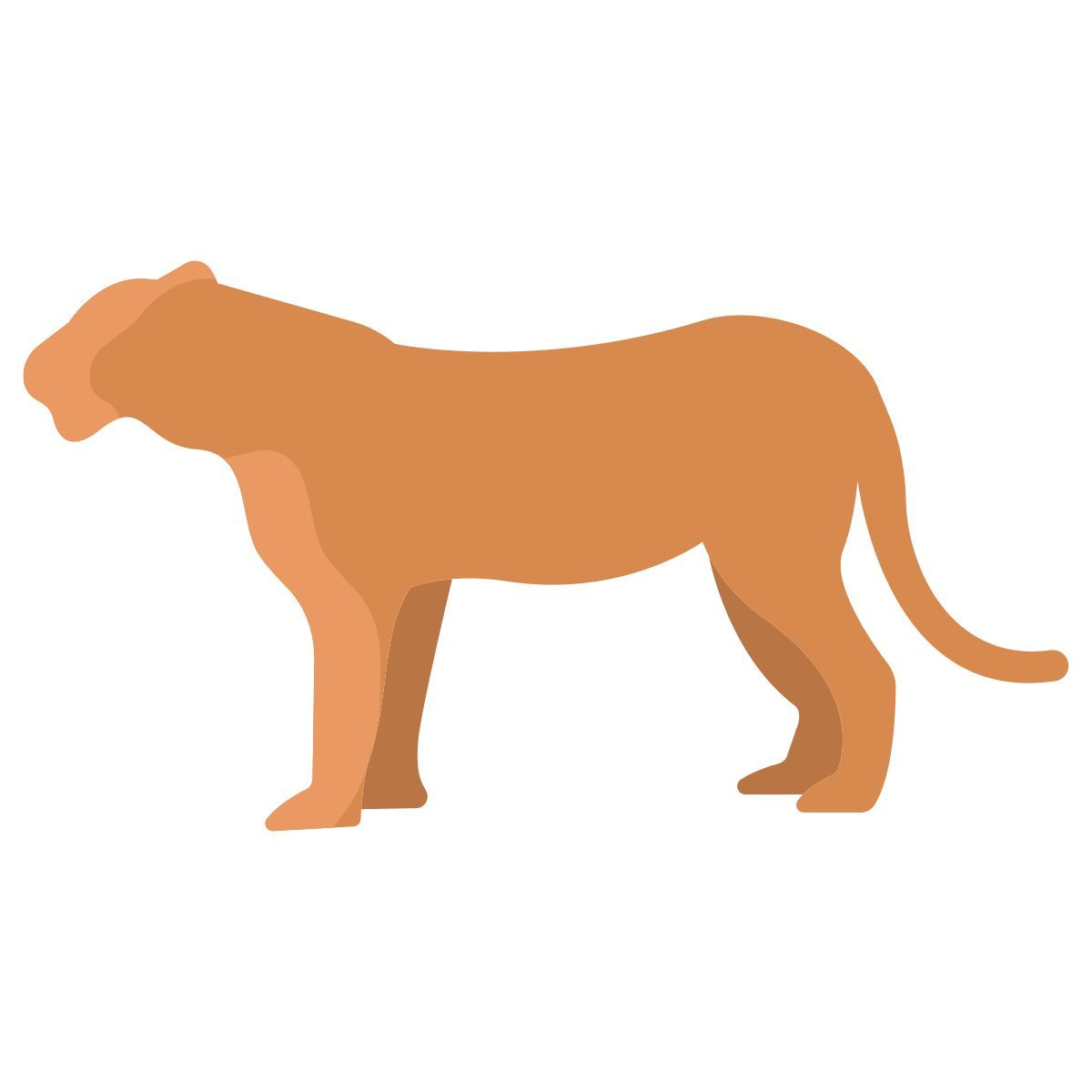 tiger icon