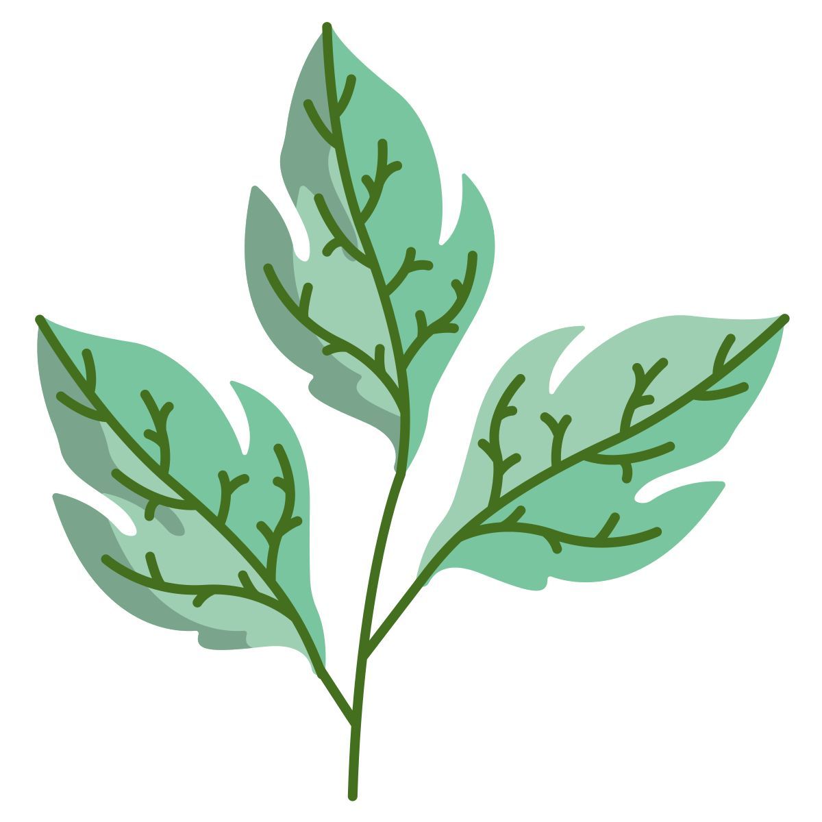 tomato icon