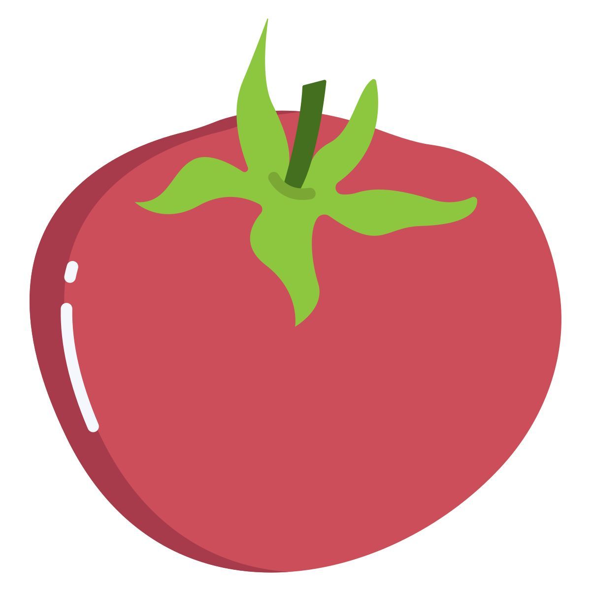 tomato icon