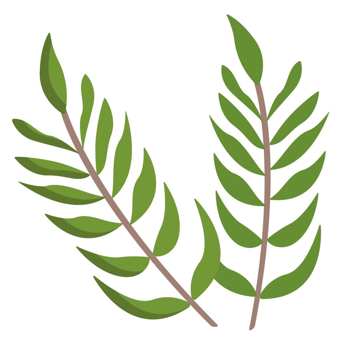 tropical icon