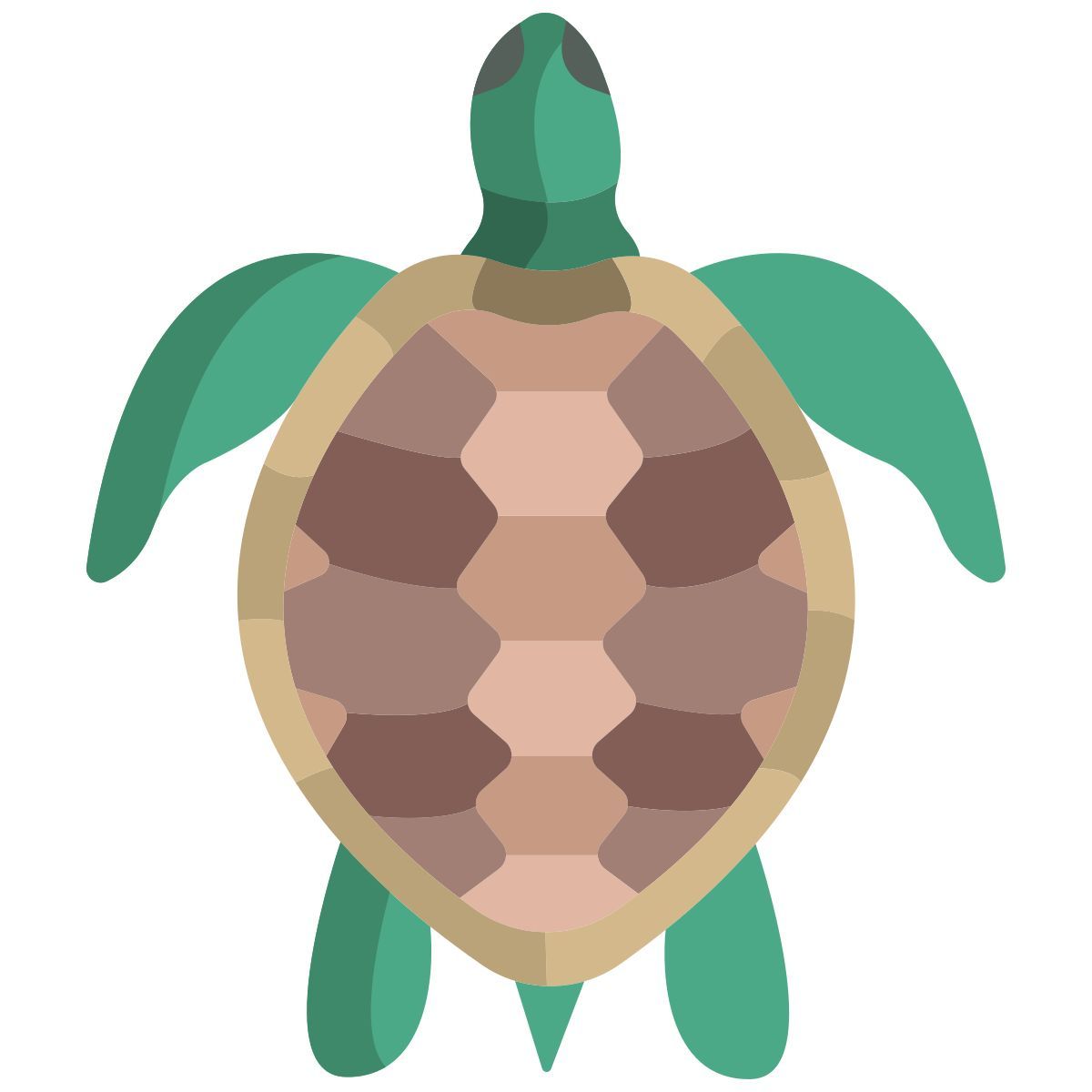 turtle icon