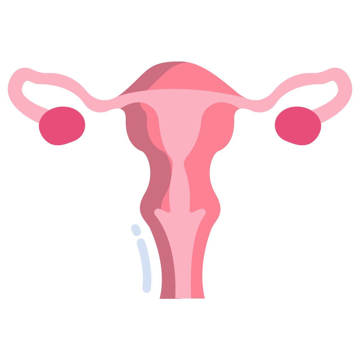 uterus icon