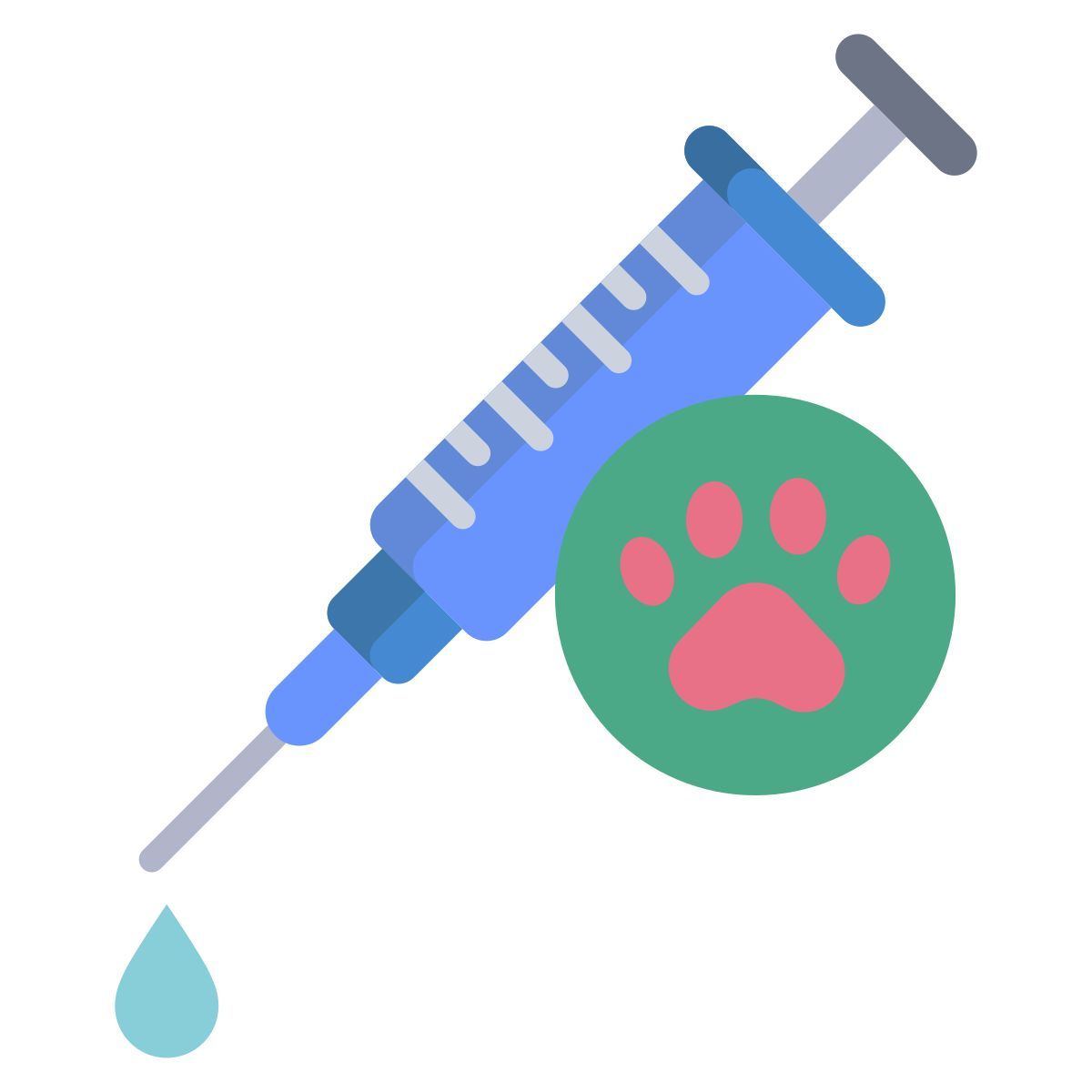 vaccination icon