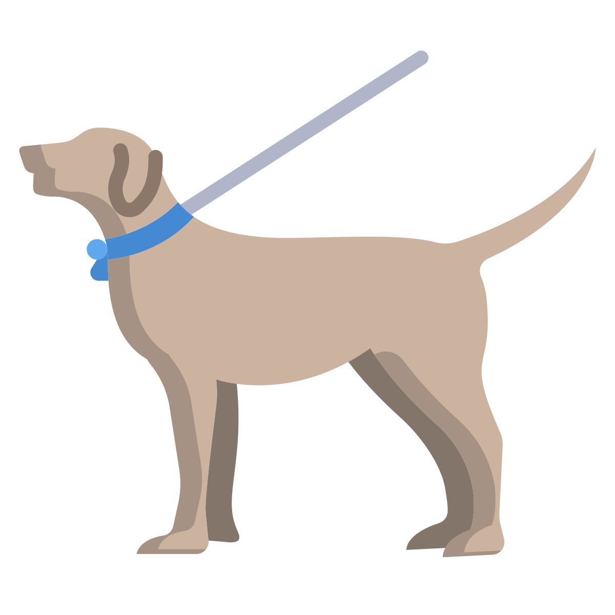 walking the dog icon