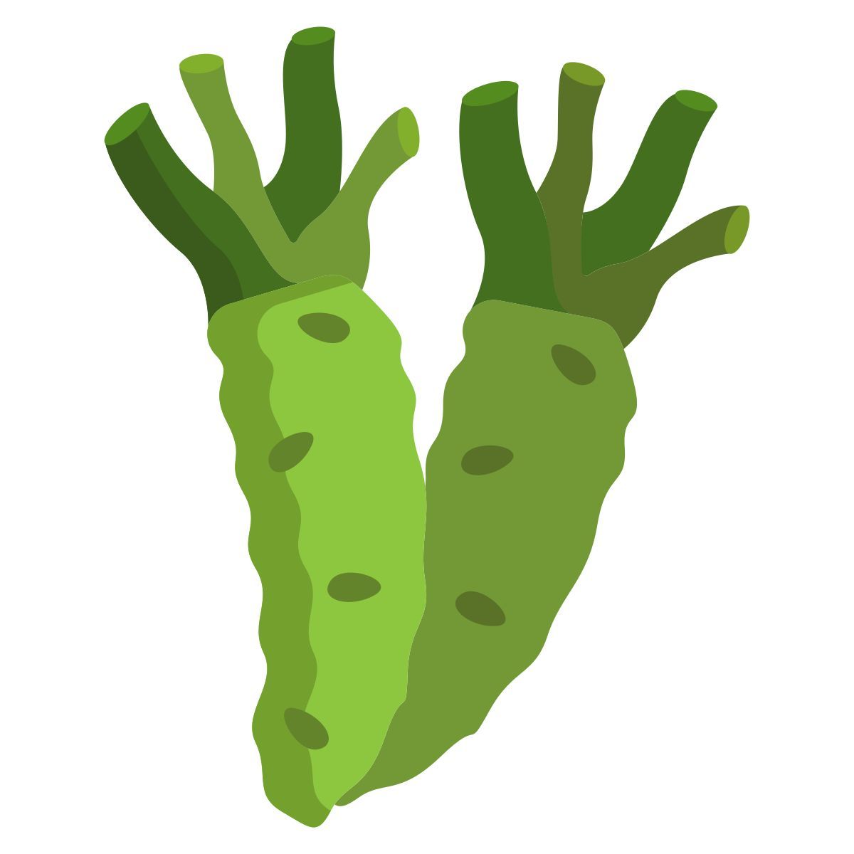 wasabi icon