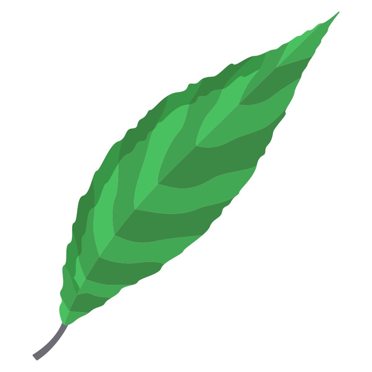 willow icon
