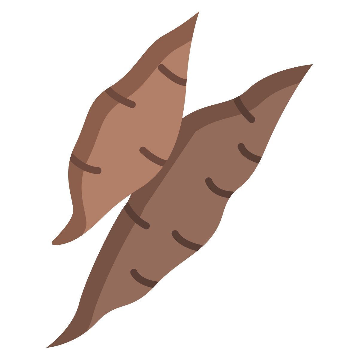 yucca icon