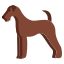 Airedale Terrier icon