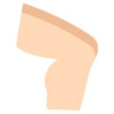 external Knee-human-body-parts-icongeek26-flat-icongeek26 icon
