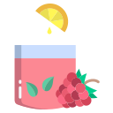 external Raspberry-Juice-fruit-juice-icongeek26-flat-icongeek26 icon