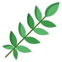 external Rowan-Leaf-leaf-icongeek26-flat-icongeek26 icon
