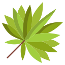 external Sabal-Palm-Leaf-leaf-icongeek26-flat-icongeek26 icon