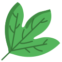 external Sassafras-Leaf-leaf-icongeek26-flat-icongeek26 icon