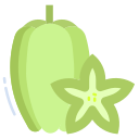 external Star-Fruit-keto-diet-icongeek26-flat-icongeek26 icon