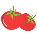 external Tomato-italy-icongeek26-flat-icongeek26 icon