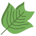 external Tulip-Tree-Leaf-leaf-icongeek26-flat-icongeek26 icon