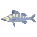 external Zander-Fish-fishes-icongeek26-flat-icongeek26 icon