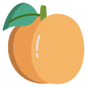 external apricot-south-africa-icongeek26-flat-icongeek26 icon