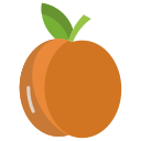 external apricot-vegan-icongeek26-flat-icongeek26 icon