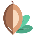 external argan-fruits-and-vegetables-icongeek26-flat-icongeek26 icon