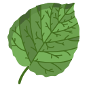 external aspen-leaves-icongeek26-flat-icongeek26 icon